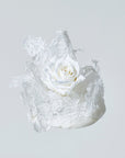 LACE ROSE - HEADDRESS